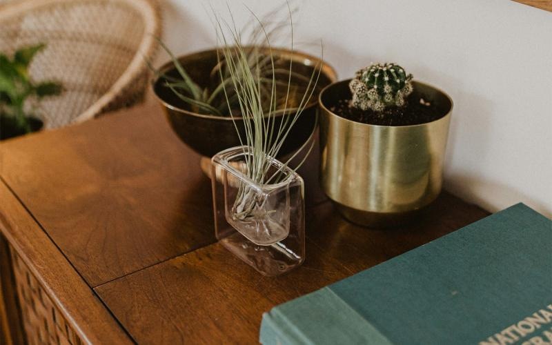a plant in a pot on a dresser near a book